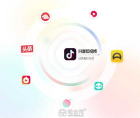 抖音广告与南昌网站推广收费模式全解析 从短视频营销到数字化技术服务